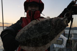 イワシの呑ませ釣り