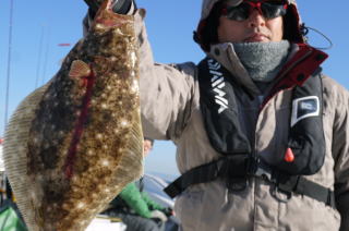 ヒラメ 泳がせ釣り
