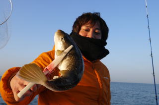 ショウサイふぐ釣り