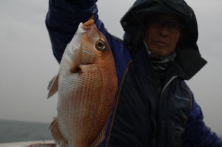 真鯛 釣り船