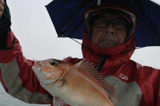 つりぶね　鯛サビキ