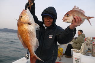爆釣 真鯛釣り