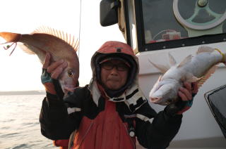 鳴門　真鯛釣り