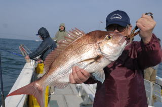 真鯛釣り大鯛