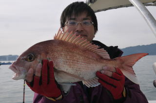 鯛釣り