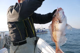 なると 鯛釣り