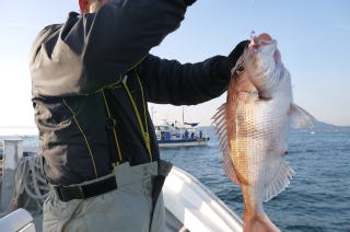 なると　鯛釣り