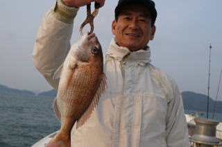 真鯛 つり 鳴門真鯛