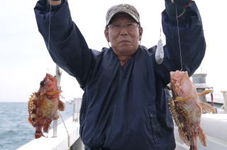 根魚カサゴ ガシラ