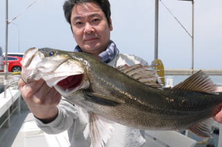 シーバス釣り