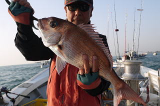 鯛釣り　明石