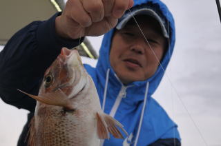 たい 釣り