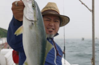 ハマチ 青物