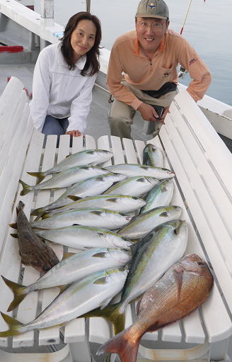 青物釣果